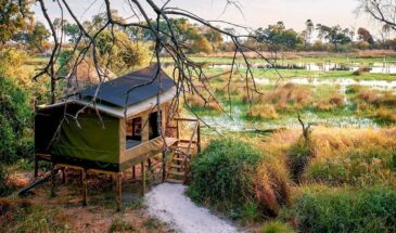 Explore Okavango Delta| Oddballs Camp